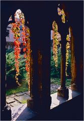 Herbst im Klosterhof