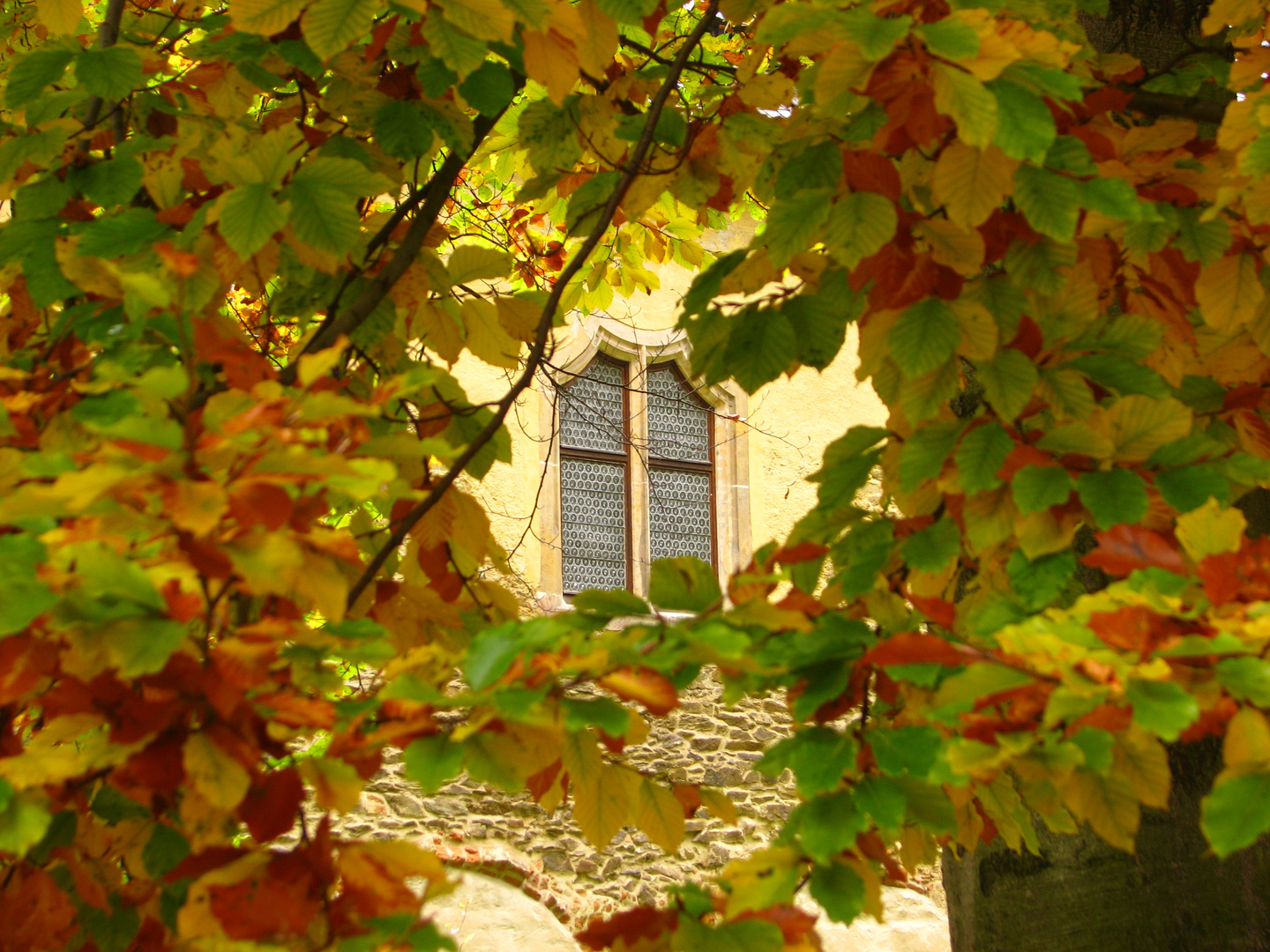 Herbst im Klosterpark Altzella Nossen