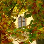 Herbst im Klosterpark Altzella Nossen