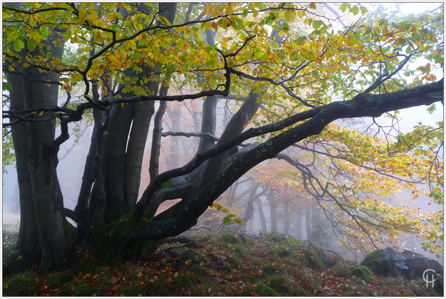 Herbst im Knüllgebirge