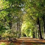 Herbst im Kölner Grüngürtel