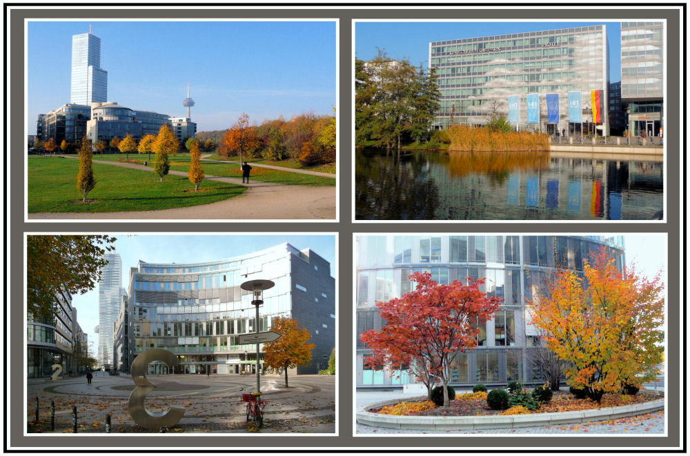 Herbst im Kölner Mediapark