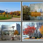 Herbst im Kölner Mediapark