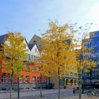 Herbst im Kölner Rheinauhafen