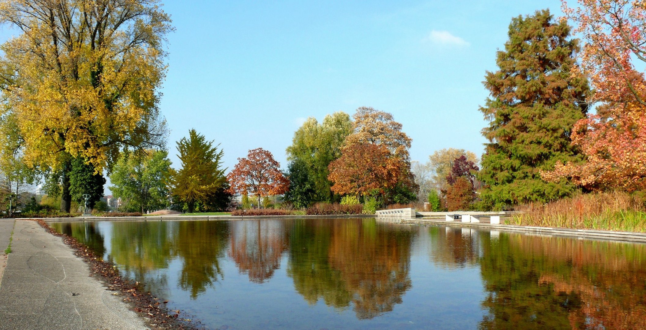 Herbst im Kölner Rheinpark
