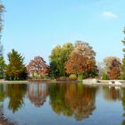 Herbst im Kölner Rheinpark