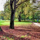 Herbst im Kölner Stadtwald