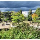 Herbst im Kölner Zoo