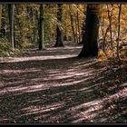 Herbst im Krähenwald