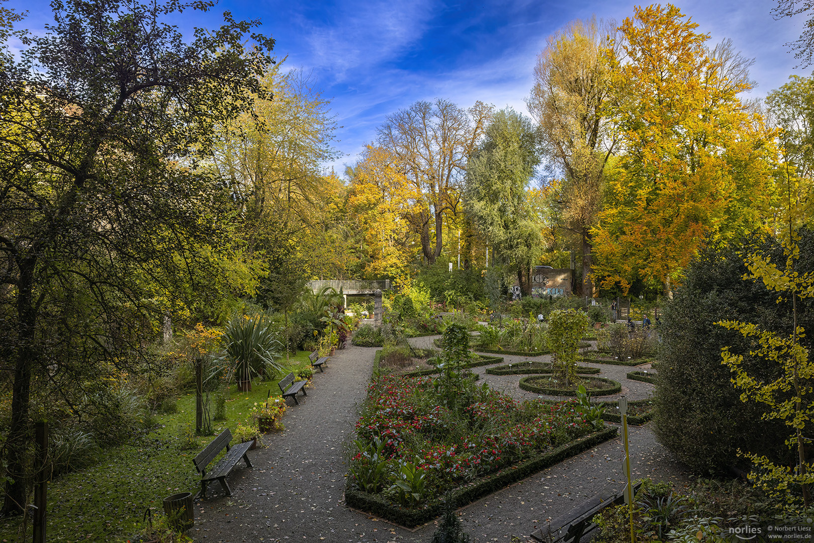 Herbst im Kräutergarten