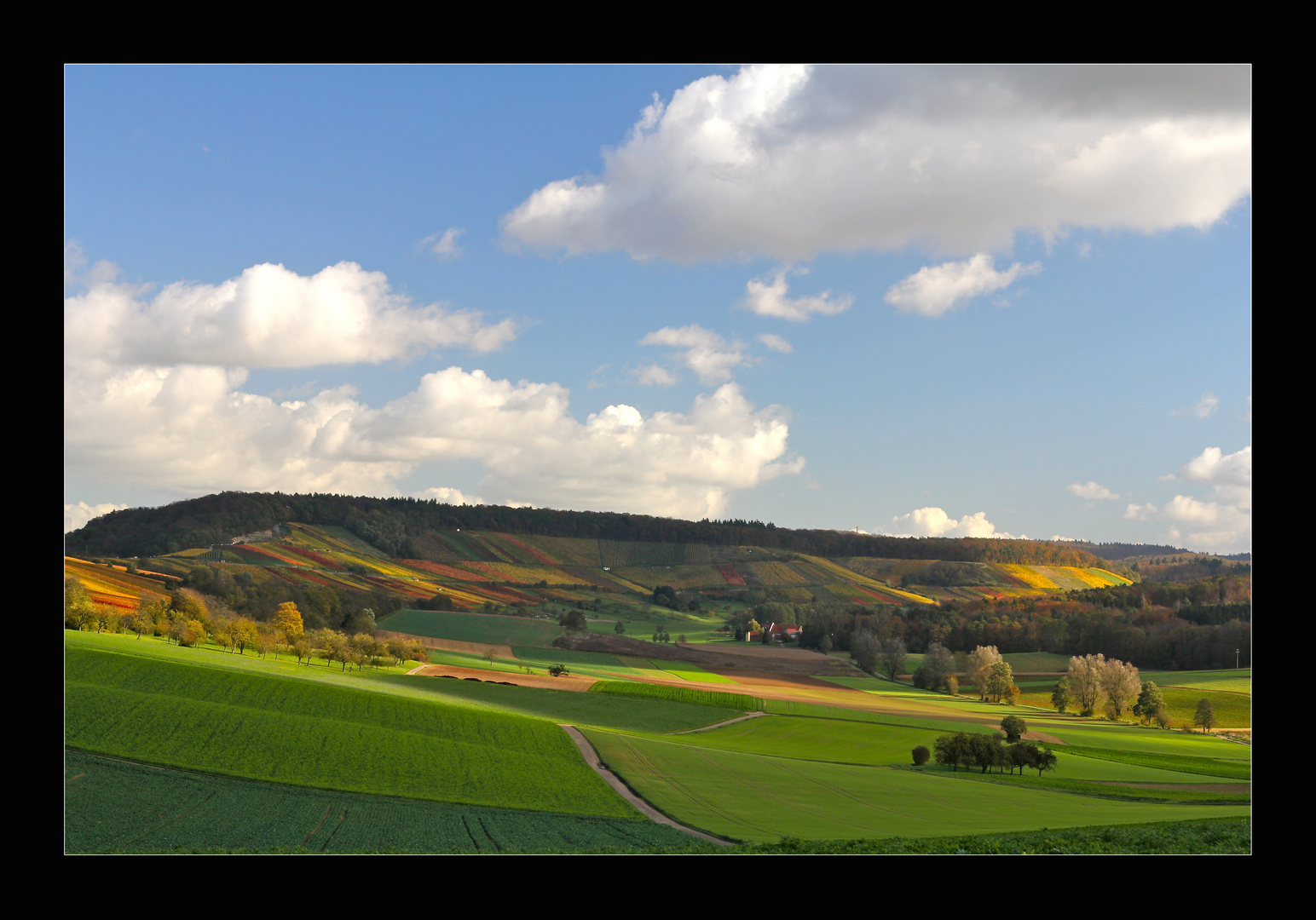 Herbst Im Kraichgau