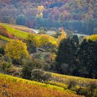 Herbst im Kraichgau