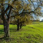 Herbst im Kraichgau