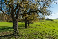 Herbst im Kraichgau