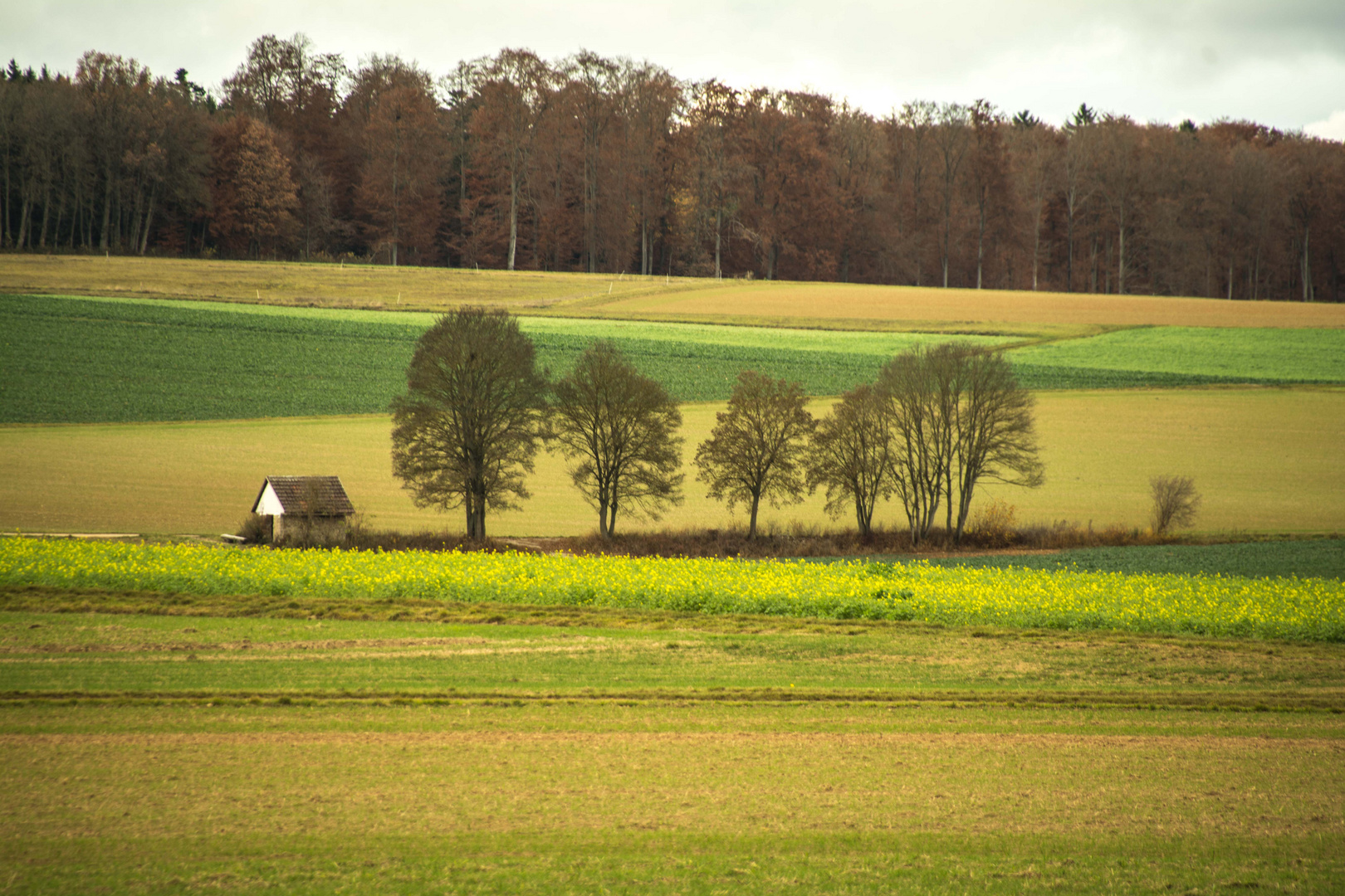 Herbst im Kreis Böblingen