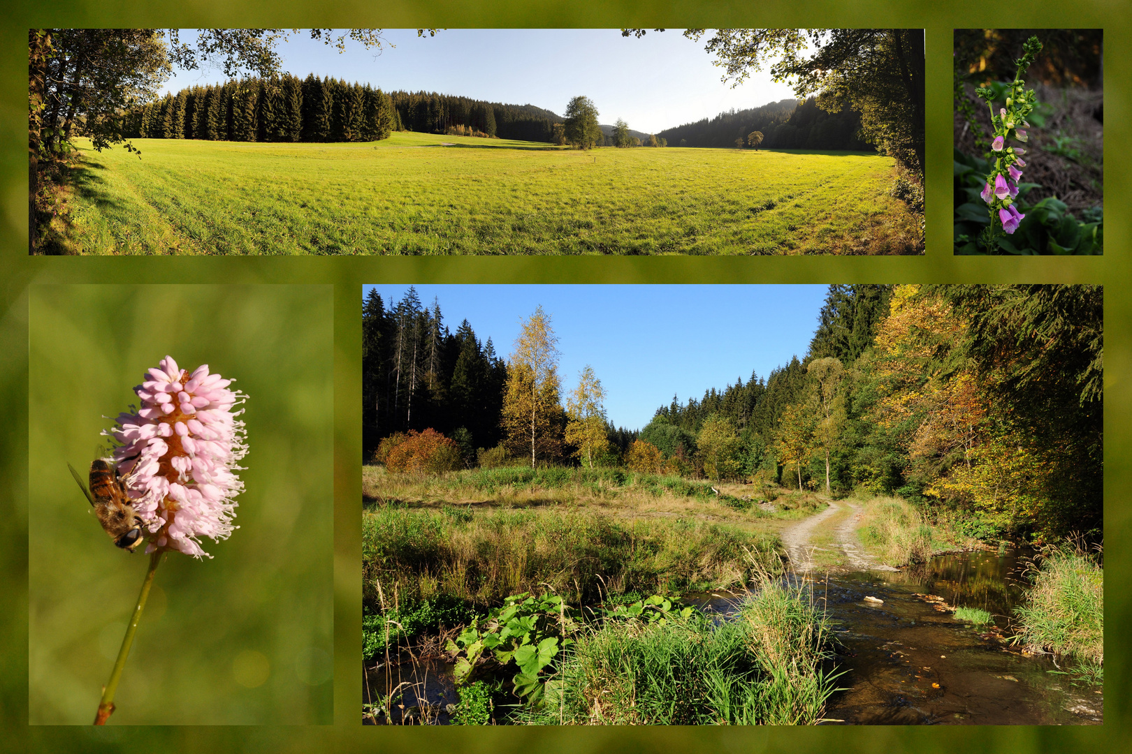 Herbst im Kremnitztal