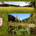 Herbst im Kremnitztal