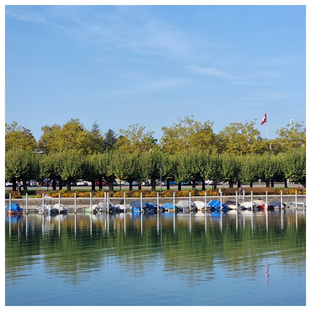 Herbst im Kreuzlinger Hafen