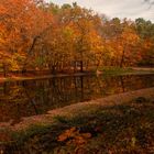 Herbst im Kromlauer Park