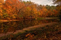 Herbst im Kromlauer Park