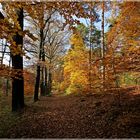 Herbst im Kromlauer Park