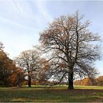 Herbst im Kromlauer Park