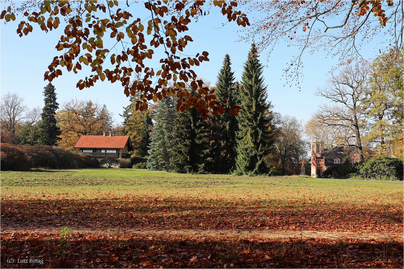 Herbst im Kromlauer Park