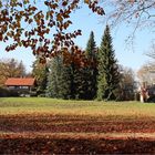 Herbst im Kromlauer Park