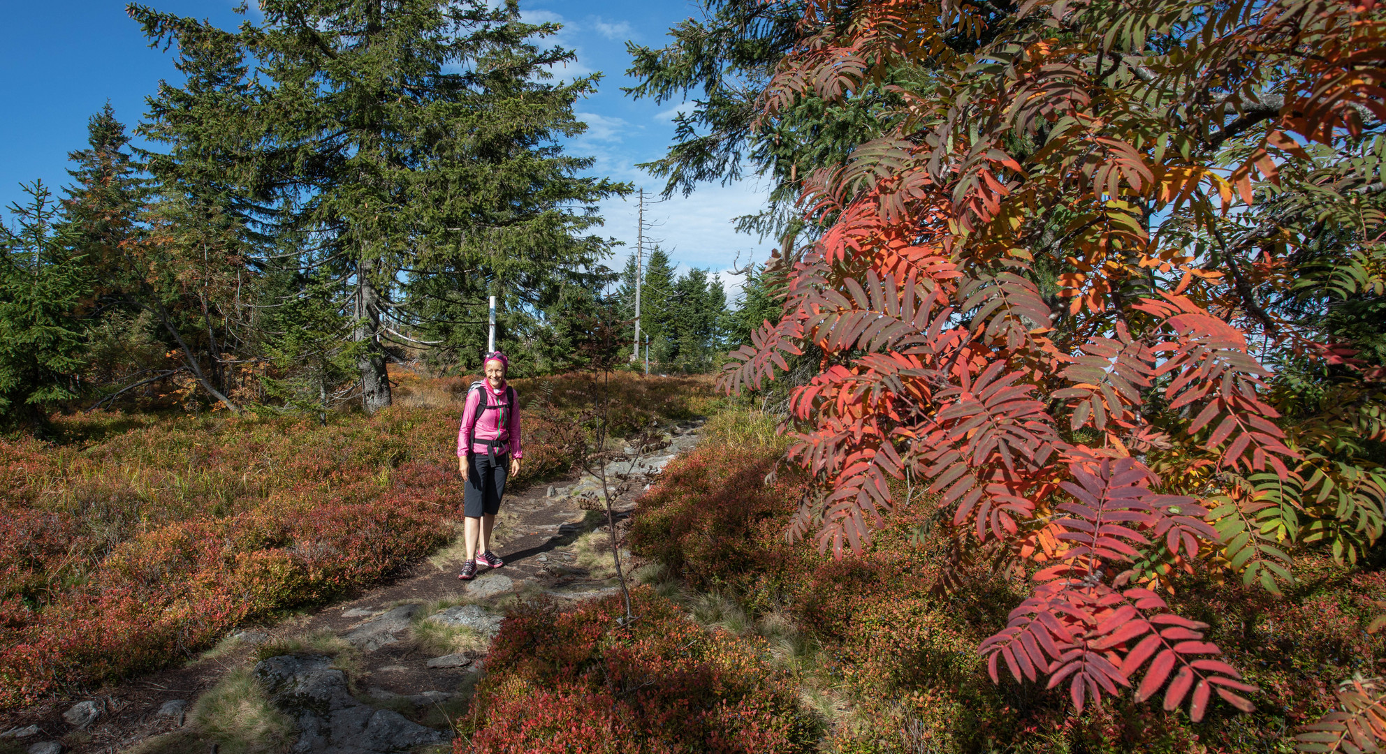 Herbst im "Künischen Gebirge"