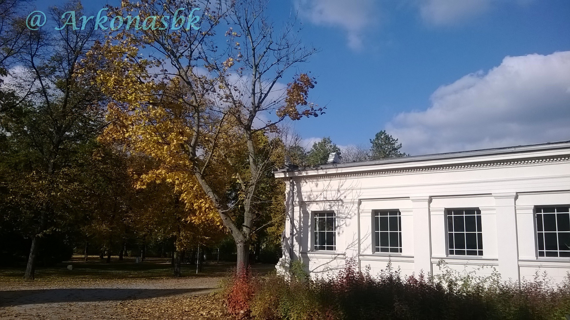 Herbst im Kurpark 2