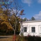 Herbst im Kurpark 2