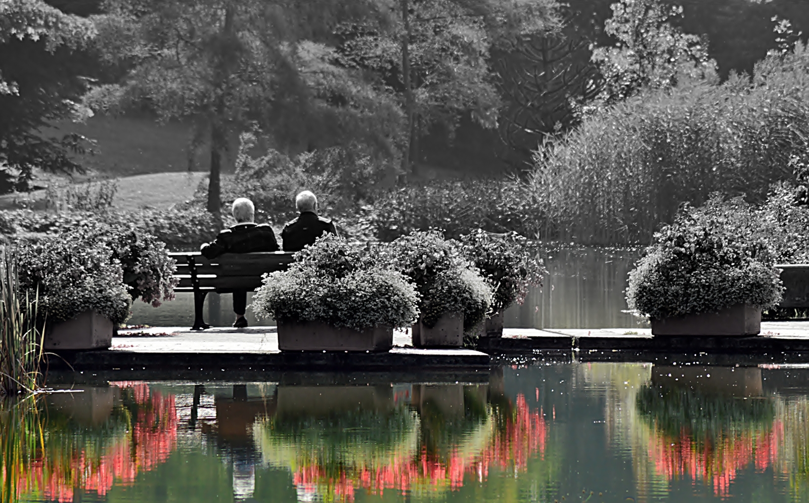 ~~~ Herbst im Kurpark ~~~