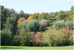 Herbst im Kurpark