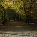 Herbst im Kurpark