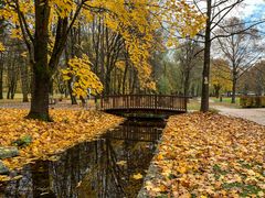 Herbst im Kurpark