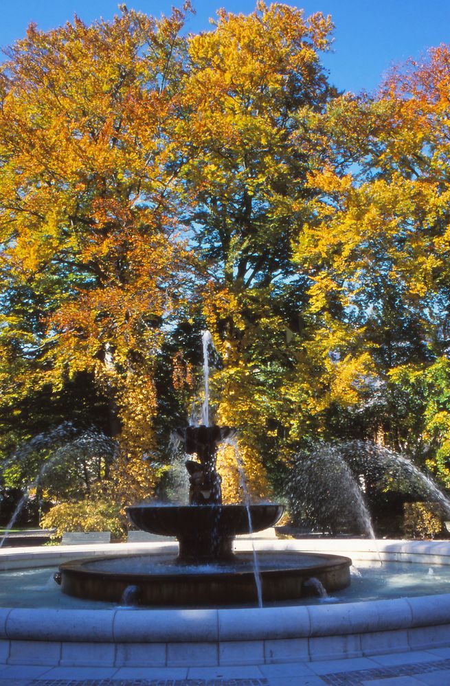 Herbst im Kurpark  Bad Reichenhall