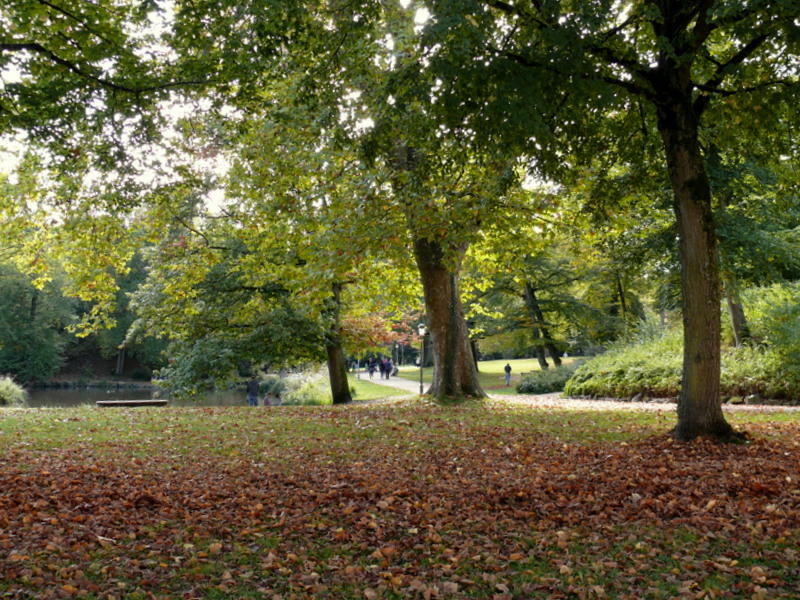 Herbst im Kurpark