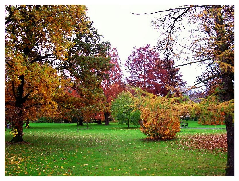 Herbst im Kurpark