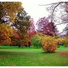 Herbst im Kurpark