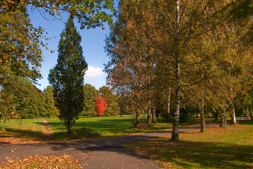 Herbst im Kurpark von Bad Salzhausen