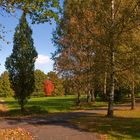 Herbst im Kurpark von Bad Salzhausen