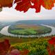 Herbst im Lndle - Neckarschleife in Mundelsheim