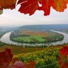 Herbst im Ländle - Neckarschleife in Mundelsheim