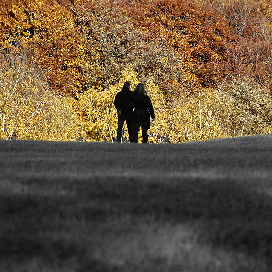 Herbst im Lainzer Tiergarten