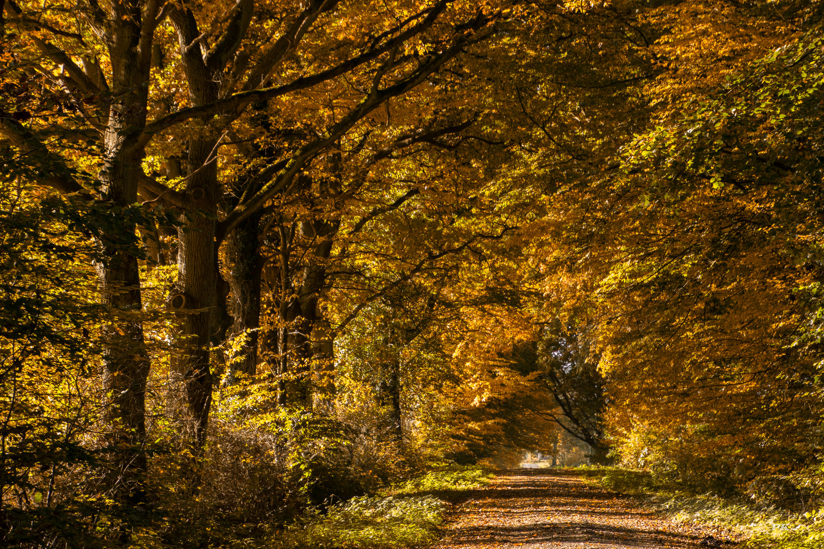 Herbst im Land