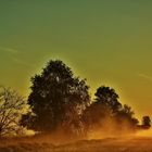 Herbst im Land Brandenburg