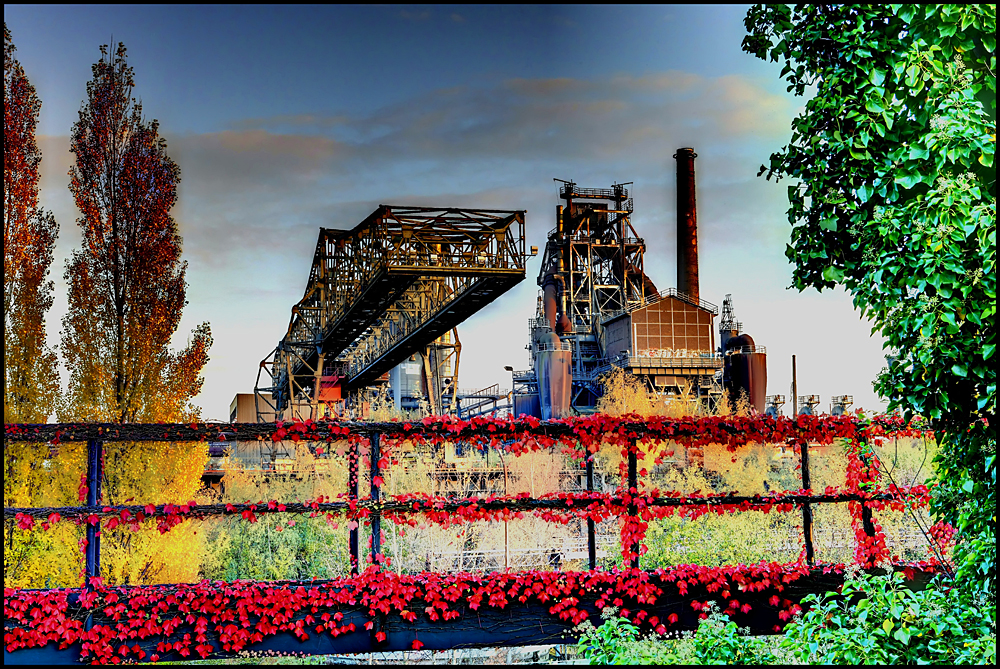 Herbst im Landschaftspark