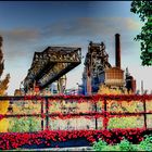 Herbst im Landschaftspark