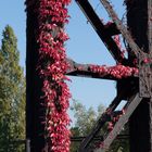 Herbst im Landschaftspark