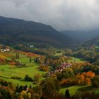 Herbst im Laufbachtal